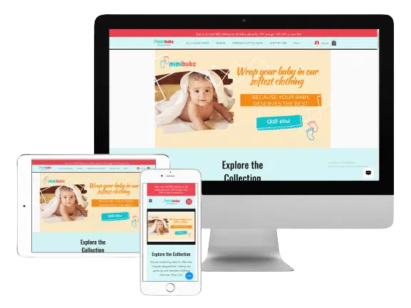 eCommerce Website Design Service