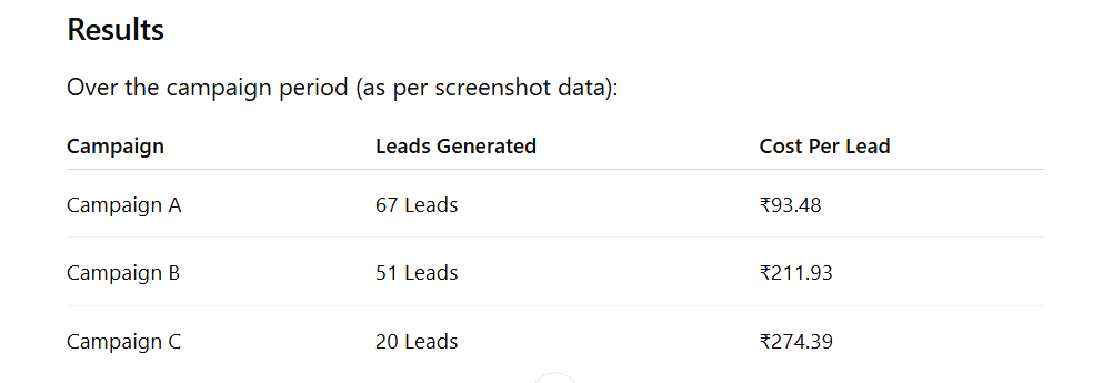 Meta leads for coach and consultent